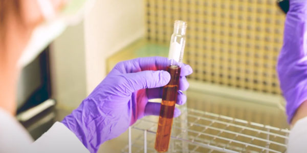 8道流程高規品管