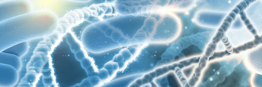 美國飲食指南 保健食品